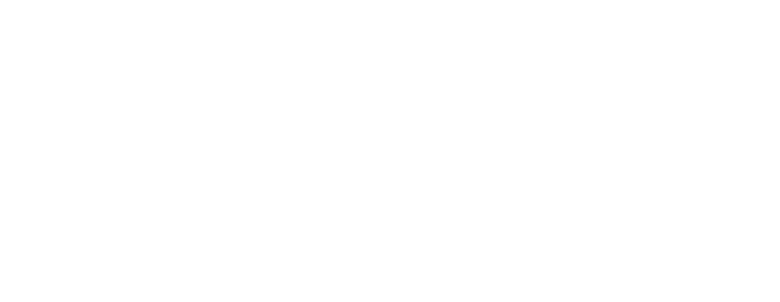 Consultoria de Sucesso